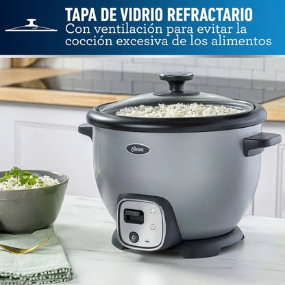 Arrocera Multiusos Oster 10 tazas Sofrito CKSTRC8029S